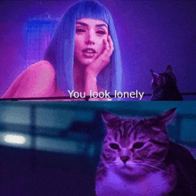 a woman with blue hair is next to a cat with the words you look lonely