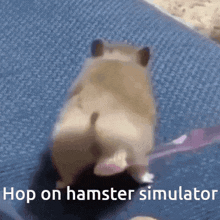 Hamster Butt GIF - Hamster Butt Hamster Simulator GIFs
