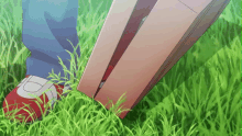 a person is standing in the grass with a box in their foot