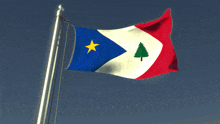 a blue white and red flag with a yellow star and a green tree on it