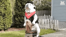Horses In The Back Cowboy GIF - Horses In The Back Cowboy Omw GIFs