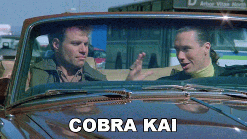 Pin on Cobra Kai Never Dies