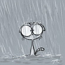 Rain Cat GIF - Rain Cat Lightning GIFs