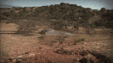 a group of dinosaurs are walking in the dirt