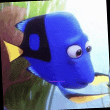 a blue fish with a yellow tail is swimming in the water with a caption that says crumbled monster