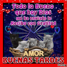 a group of kittens in a basket with the words todo lo bueno que hoy dios me ha enviado lo recibo con gratitud