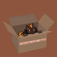 dragon floofy fluffy box in a box