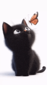 a black cat is looking up at a butterfly on its nose and the words " c nathuue " are above it
