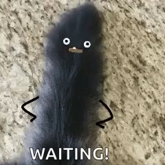 [Image: cat-waiting.gif]