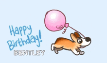 Happy Birthday Balloon GIF - Happy Birthday Balloon Dog GIFs