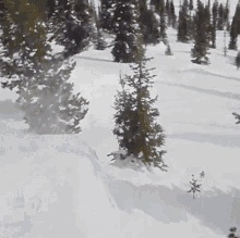 Falling Red Bull GIF - Falling Red Bull Snowboard Fall GIFs