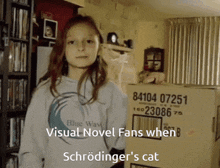 Schrödinger'S Cat Visual Novel GIF - Schrödinger'S Cat Visual Novel Woobi GIFs