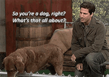Andy Samberg Youre A Dog GIF - Andy Samberg Youre A Dog Whats That All About GIFs
