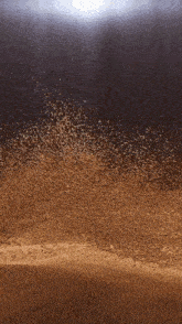 a close up of a dirt field with the sun shining through