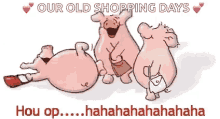 Laughing Pig GIF