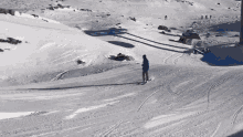 Ialeidioma Skiing GIF - Ialeidioma Skiing Success GIFs
