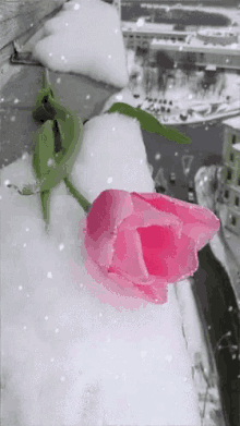 Pink Merry GIF - Pink Merry Christmas GIFs