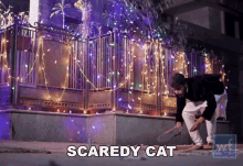 Scared Frightened GIF - Scared Frightened Afraid GIFs