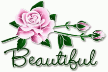 Beautiful Flower GIF - Beautiful Flower Pink GIFs