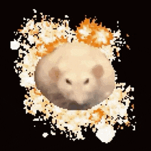 a hamster is surrounded by flames on a black background in a pixel art style .