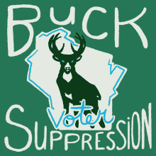 Buck Voter Suppression Wisconsin GIF