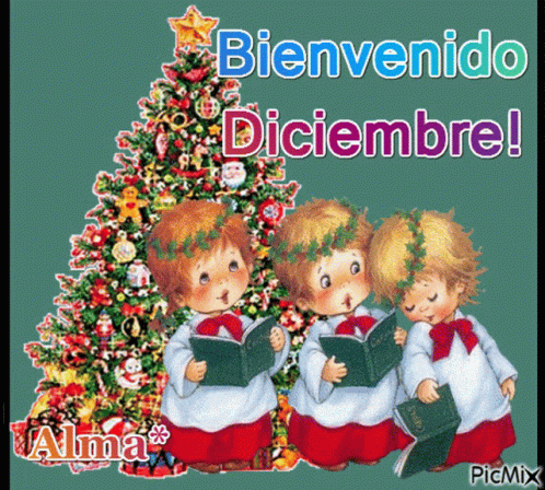 Bienvenido Diciembre GIF - Bienvenido Diciembre Navidad - Discover & Share  GIFs