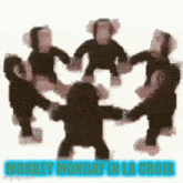 a group of stuffed monkeys are dancing in a circle with the words monkey monday in la croix below them