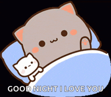 a cartoon cat laying in a bed with the words " good night i love you " on the bottom