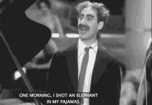 The Marx Brothers I Shot An Elephant In My Pajamas GIF - The Marx Brothers I Shot An Elephant In My Pajamas GIFs