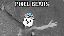 Pixelbears Winterbears GIF