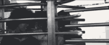 Playing The Rotating Gate Entrance GIF