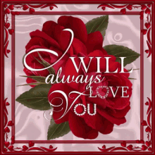 love you i will always love you red rose heart diamond