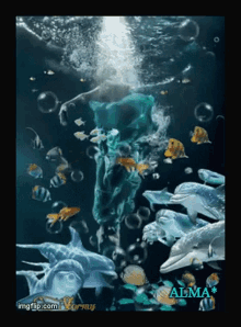Bajo El Mar Under The Sea GIF - Bajo El Mar Under The Sea Fish GIFs