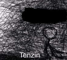 Tenzin GIF - Tenzin GIFs