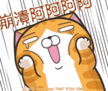 Cat Lan Lan Cat GIF - Cat Lan Lan Cat Excited GIFs