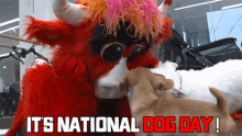 Its National Dogs Day I Ts Dogs Day GIF - Its National Dogs Day I Ts Dogs Day Happy Dogs Day GIFs