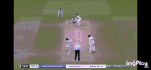 Cricket England Cricket GIF - Cricket England Cricket Pakistan GIFs