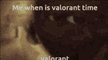 a picture of a horse with the words me when is valorant time valorant