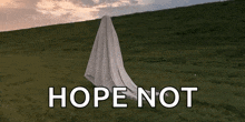 a ghost covered in a white sheet is standing in a grassy field with the words `` hope not '' written below it .