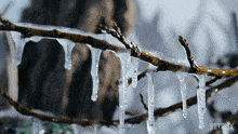 Melting Our Living World GIF - Melting Our Living World Turning Into Liquid GIFs