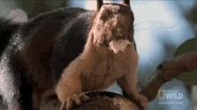 What? GIF
