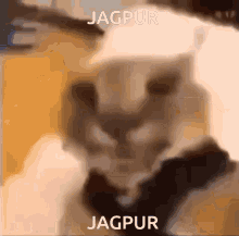 Jagpur Jayden GIF - Jagpur Jayden Yaden GIFs