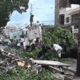 a group of men are working on a pile of leaves on the side of a road