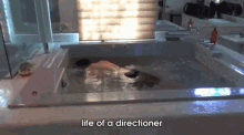 Luke Brooks Drowning Himself GIF - One Direction Hot Tub Dead GIFs