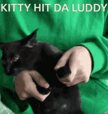 Cat Cat Dance GIF - Cat Cat Dance Ludwig GIFs