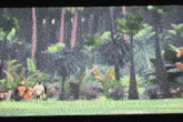 a group of animals are standing in a jungle with palm trees