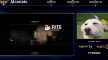 a screen shot of a game called rito game with a picture of a dog