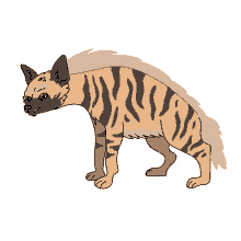 hyena striped hyena