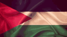 Im Free Flag GIF - Im Free Flag Islamic GIFs