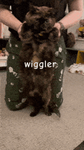 Wiggler Neo GIF - Wiggler Neo Cat GIFs